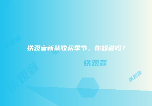 铁观音新茶收获季节，你知道吗？