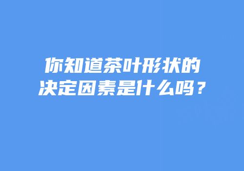 你知道茶叶形状的决定因素是什么吗？