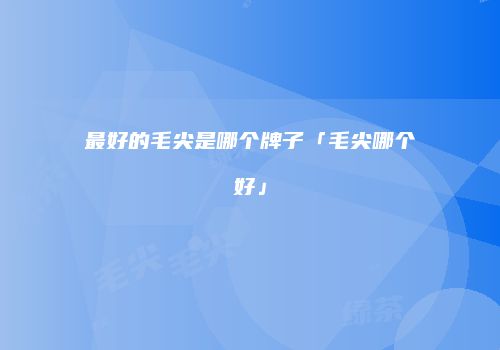 最好的毛尖是哪个牌子「毛尖哪个好」