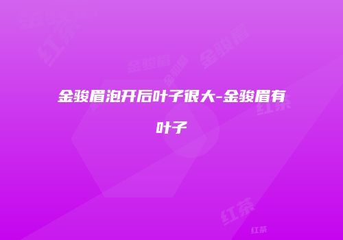 金骏眉泡开后叶子很大-金骏眉有叶子