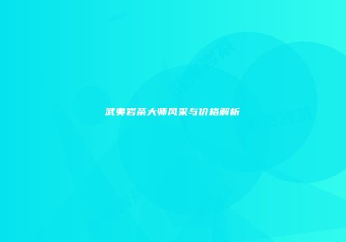 武夷岩茶大师风采与价格解析