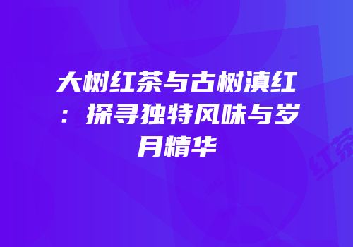 大树红茶与古树滇红：探寻独特风味与岁月精华