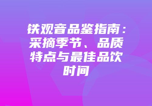 铁观音品鉴指南：采摘季节、品质特点与最佳品饮时间