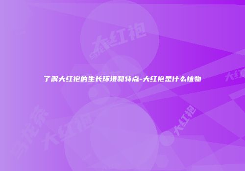 了解大红袍的生长环境和特点-大红袍是什么植物