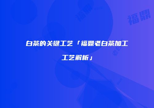 白茶的关键工艺「福鼎老白茶加工工艺解析」