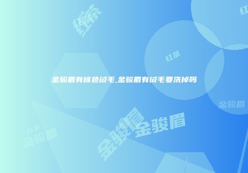金骏眉有棕色绒毛,金骏眉有绒毛要洗掉吗