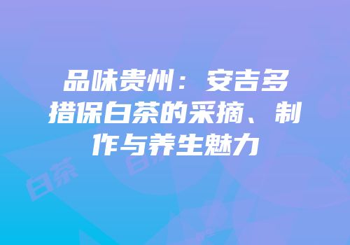 品味贵州：安吉多措保白茶的采摘、制作与养生魅力