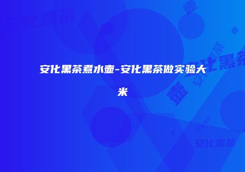 安化黑茶煮水壶-安化黑茶做实验大米