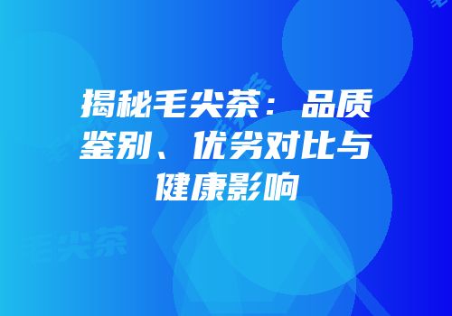 揭秘毛尖茶：品质鉴别、优劣对比与健康影响