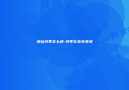 绿冰月季怎么样-月季花茶水变绿