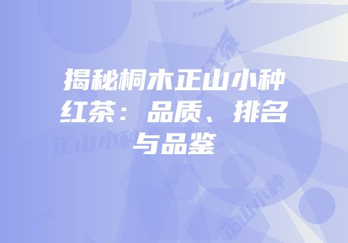 揭秘桐木正山小种红茶：品质、排名与品鉴