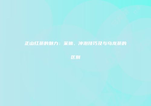正山红茶的魅力：采摘、冲泡技巧及与乌龙茶的区别