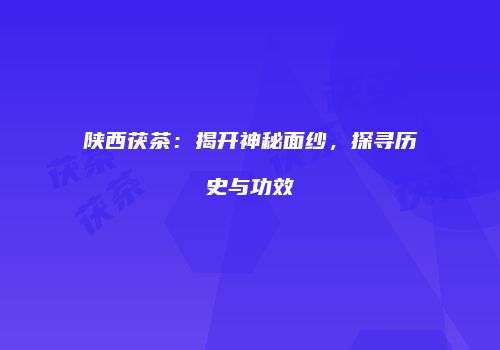 陕西茯茶：揭开神秘面纱，探寻历史与功效