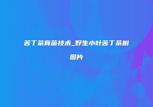 苦丁茶育苗技术_野生小叶苦丁茶树图片
