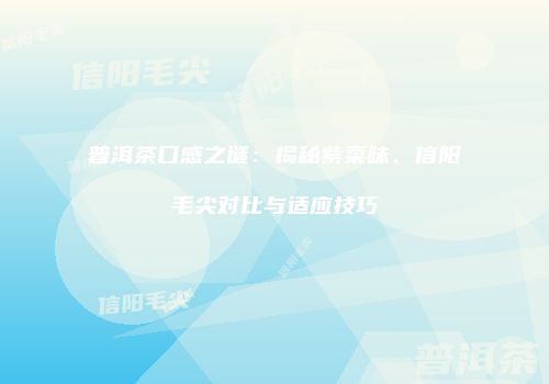 普洱茶口感之谜：揭秘紫菜味、信阳毛尖对比与适应技巧