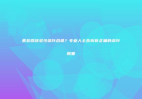 煮茶器放多少茶叶合适？专业人士告诉你正确的茶叶用量