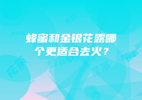 蜂蜜和金银花露哪个更适合去火？