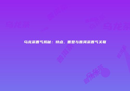 乌龙茶香气揭秘：特点、香型与普洱茶香气关联