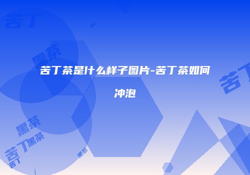 苦丁茶是什么样子图片-苦丁茶如何冲泡
