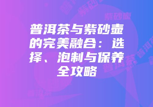 普洱茶与紫砂壶的完美融合：选择、泡制与保养全攻略