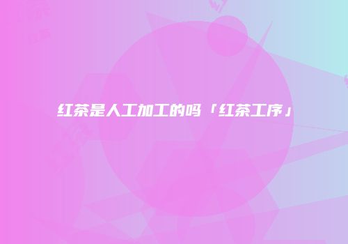 红茶是人工加工的吗「红茶工序」