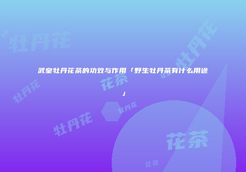 武皇牡丹花茶的功效与作用「野生牡丹茶有什么用途」