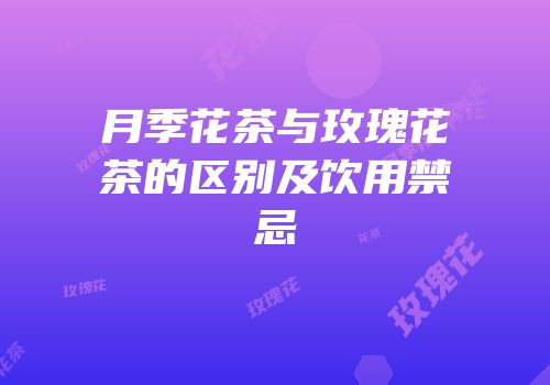 月季花茶与玫瑰花茶的区别及饮用禁忌