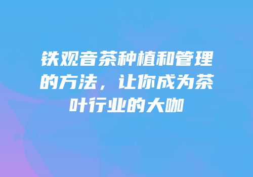 铁观音茶种植和管理的方法，让你成为茶叶行业的大咖