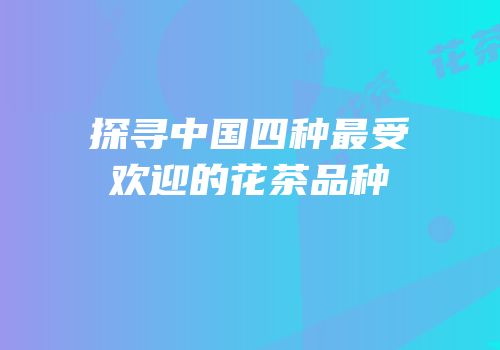 探寻中国四种最受欢迎的花茶品种