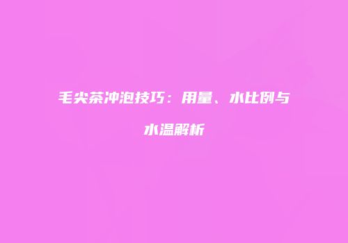 毛尖茶冲泡技巧：用量、水比例与水温解析