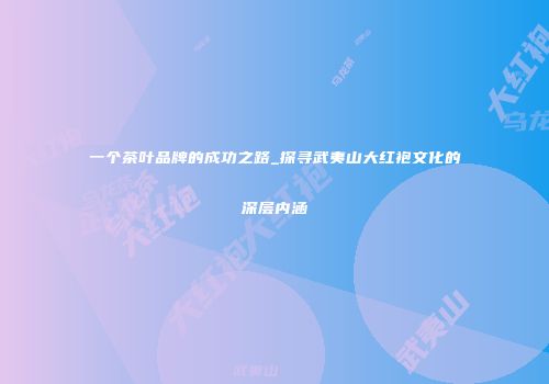 一个茶叶品牌的成功之路_探寻武夷山大红袍文化的深层内涵