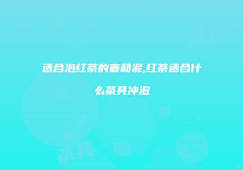 适合泡红茶的壶和泥,红茶适合什么茶具冲泡
