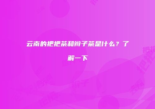 云南的把把茶和辫子茶是什么？了解一下