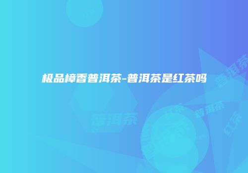 极品樟香普洱茶-普洱茶是红茶吗