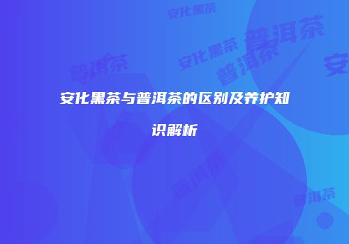 安化黑茶与普洱茶的区别及养护知识解析
