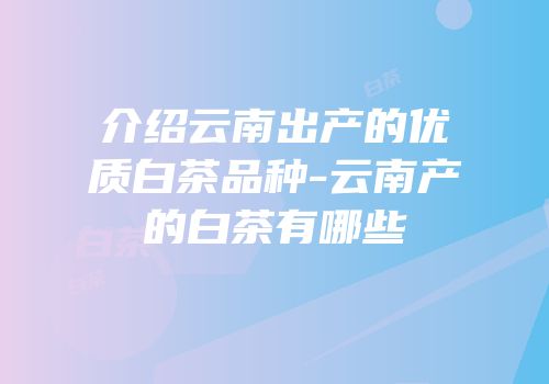 介绍云南出产的优质白茶品种-云南产的白茶有哪些