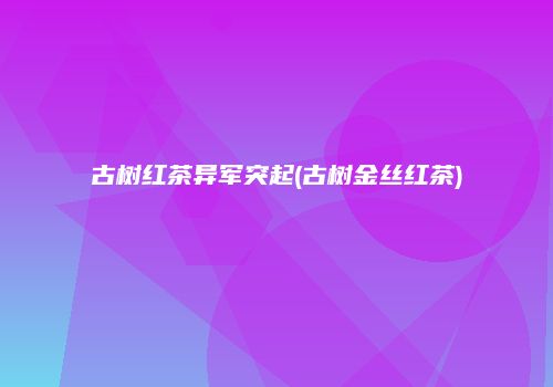 古树红茶异军突起(古树金丝红茶)