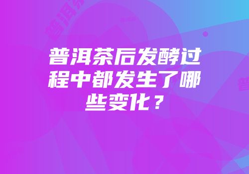 普洱茶后发酵过程中都发生了哪些变化？