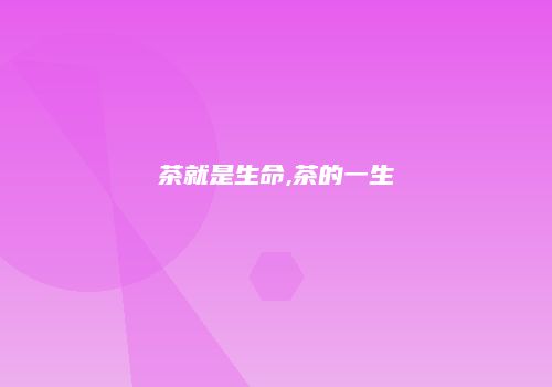 茶就是生命,茶的一生