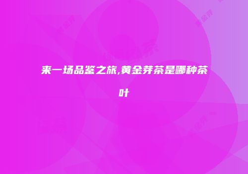 来一场品鉴之旅,黄金芽茶是哪种茶叶