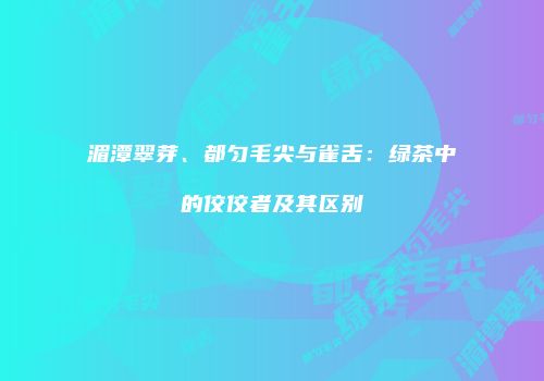 湄潭翠芽、都匀毛尖与雀舌：绿茶中的佼佼者及其区别