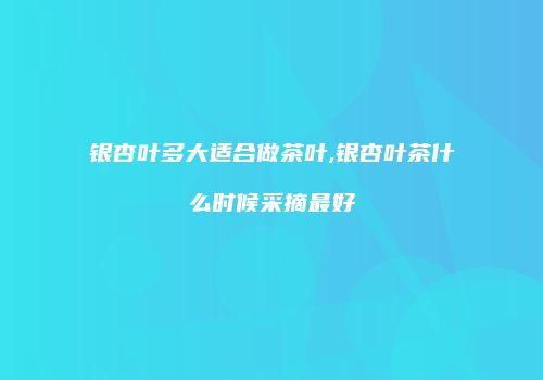 银杏叶多大适合做茶叶,银杏叶茶什么时候采摘最好