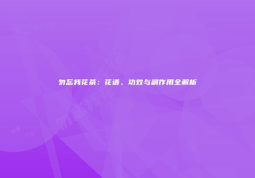 勿忘我花茶：花语、功效与副作用全解析