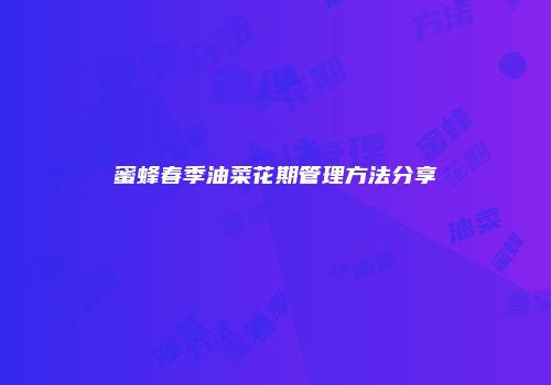 蜜蜂春季油菜花期管理方法分享