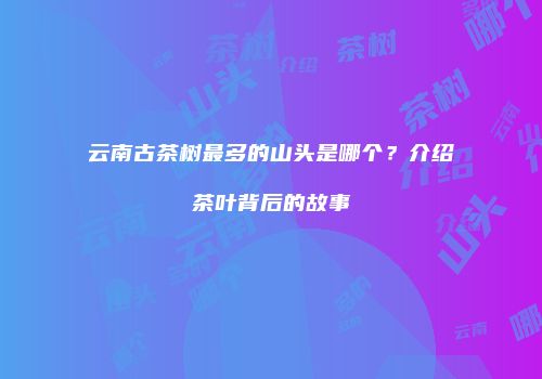 云南古茶树最多的山头是哪个？介绍茶叶背后的故事