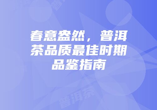 春意盎然，普洱茶品质最佳时期品鉴指南