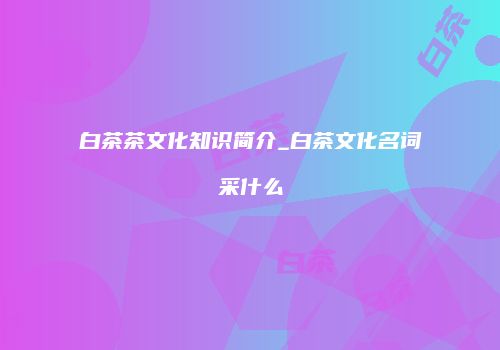 白茶茶文化知识简介_白茶文化名词采什么