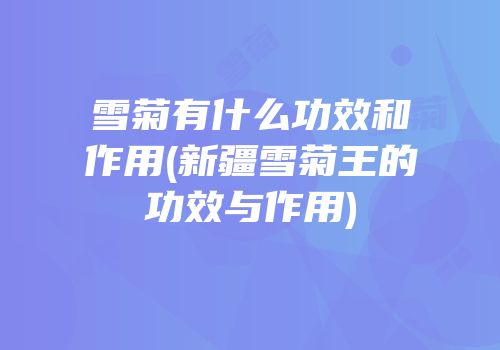 雪菊有什么功效和作用(新疆雪菊王的功效与作用)