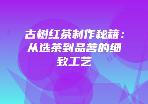 古树红茶制作秘籍：从选茶到品茗的细致工艺