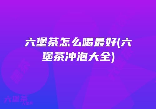 六堡茶怎么喝最好(六堡茶冲泡大全)